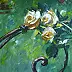 Dorota Łaz - Белые розы
