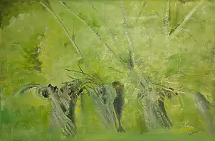 Rozalia Nowak - WILLOW