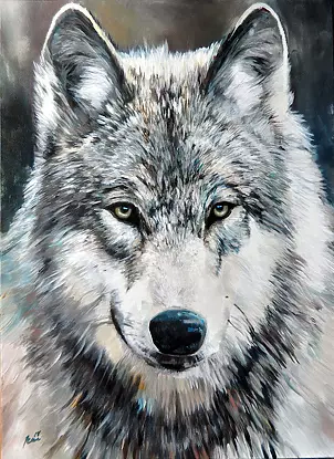 Jena Polak - WILK ALFA