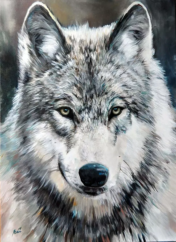 Jena Polak - WILK ALFA