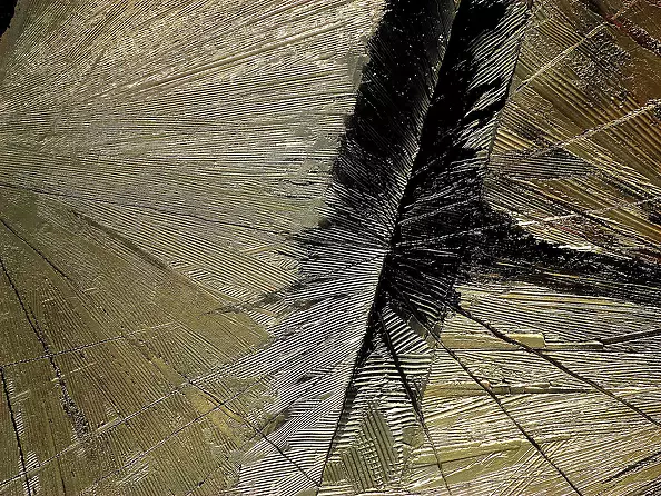 Łukasz Dziedzic - PARALLEL DIMENSION