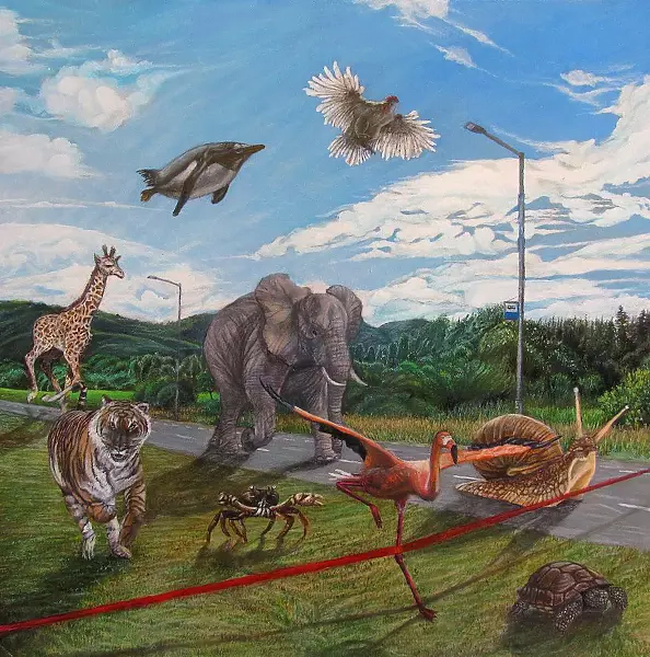 Krzysztof Polaczenko - RACE 2015