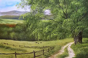 Marek Szczepaniak - In the Beskids