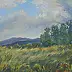 Sabina Salamon, Wind in the Bieszczady Mountains, Oil painting - canvas, 40 x 40