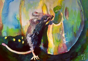 Marzena Salwowska - In the Land of Colorful Cheeses