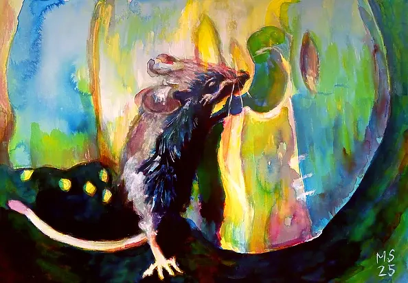 Marzena Salwowska - W Krainie Kolorowych Serów