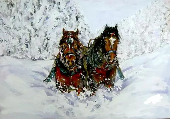 Bernadeta Nowak - In SNOW ....