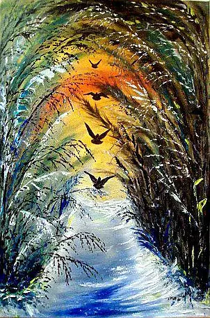 Danuta Maszota - W STRONĘ ŚWIATŁA