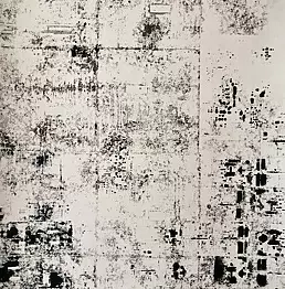 Michalina Walusiak - The white and