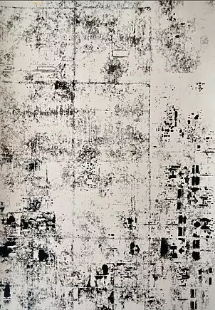 Michalina Walusiak - The white and