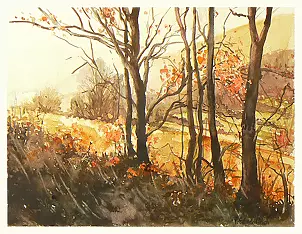   - On the way to Śnieżnica