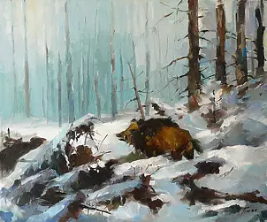 Krzysztof Tracz - In the woods