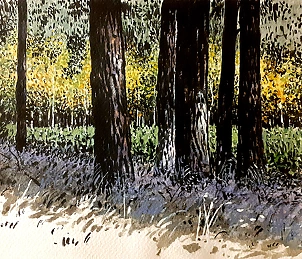 Rafał Czwichocki - In the forest