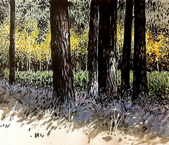 Rafał Czwichocki - In the forest