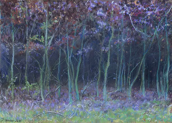 Dorota Zbroszko - W młodym lesie