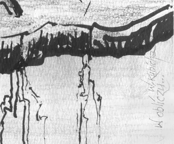 Witold Kubicha - W obliczu...