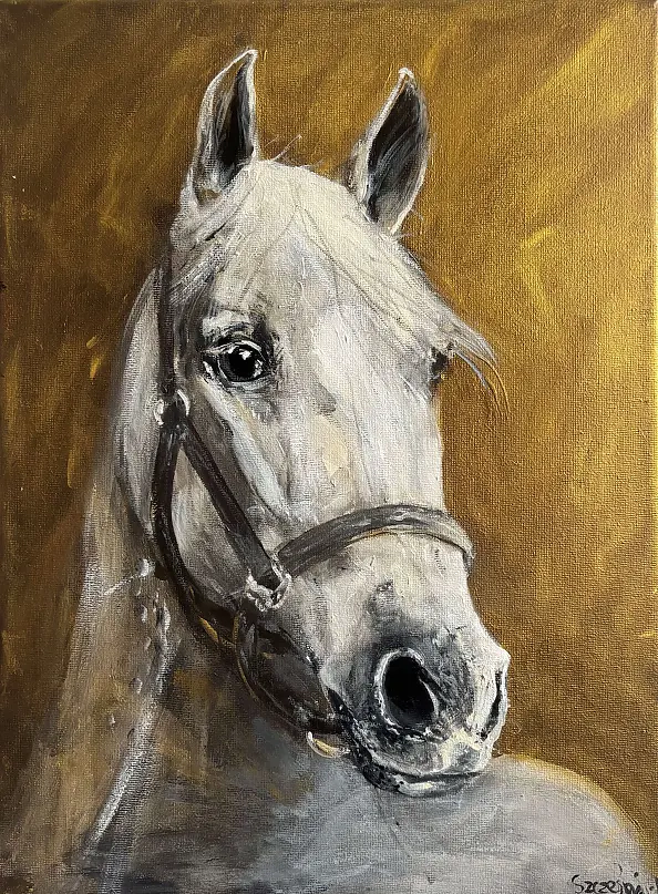 Joanna Szcześniewska - In the distance