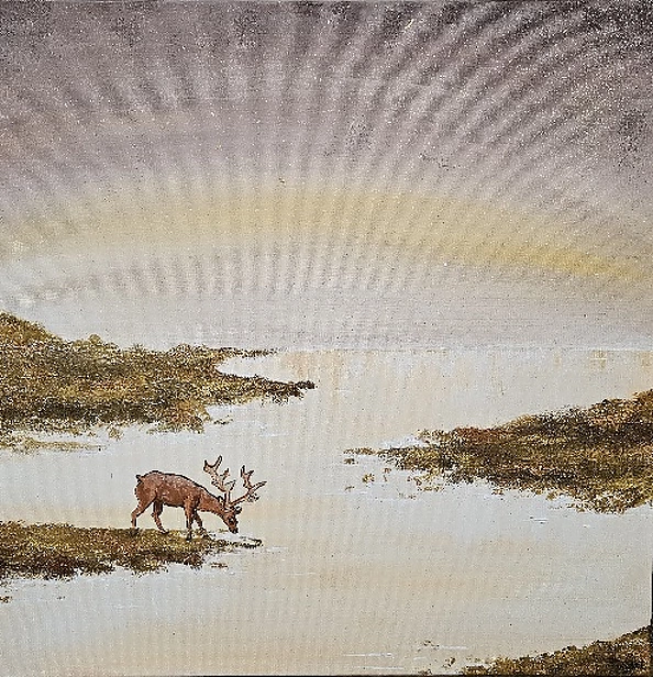 Wiktoria Bielińska - In pursuit of silence