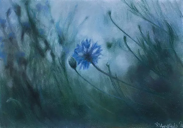 Dorota Zbroszko - W polu