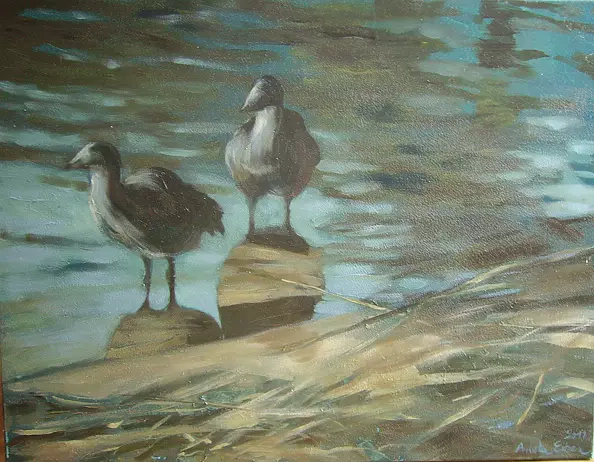 Arleta Eiben - W porannym słońcu