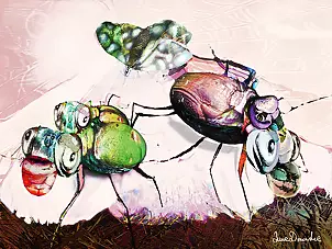 Anna Dmowska - "In the network II '