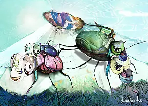 Anna Dmowska - "On the Web"