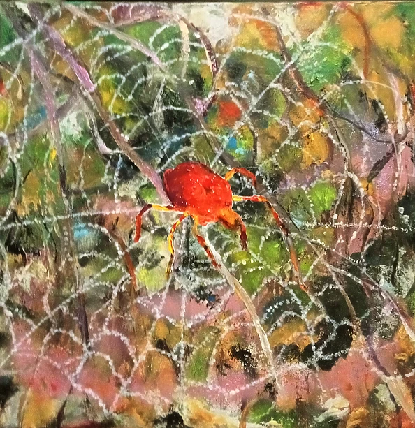 Ewa Mościszko - On the Web