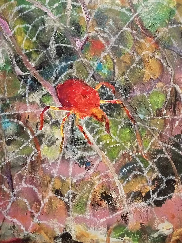 Ewa Mościszko - On the Web