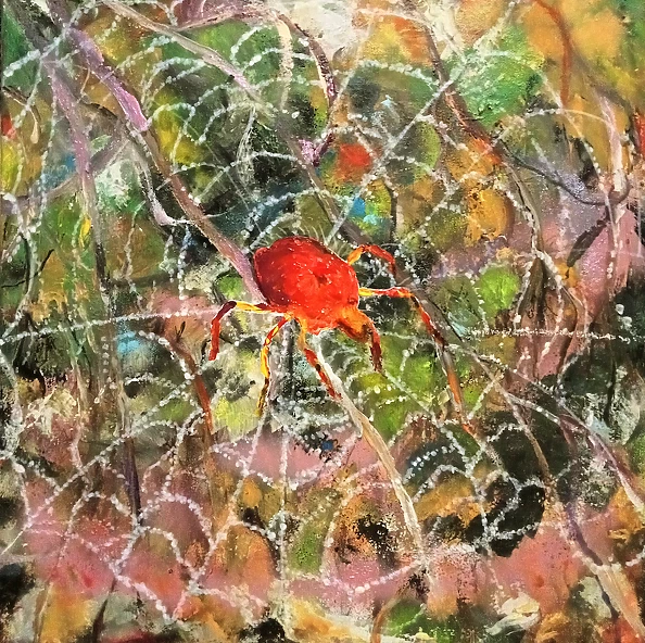 Ewa Mościszko - On the Web