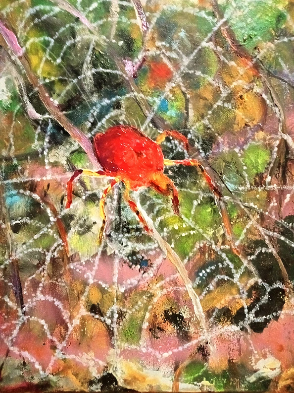 Ewa Mościszko - On the Web