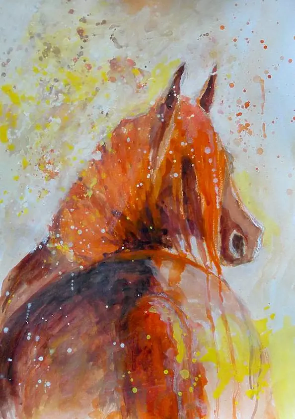 Adriana Laube - In the sun