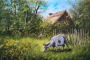 Marek Szczepaniak - In the sunny garden