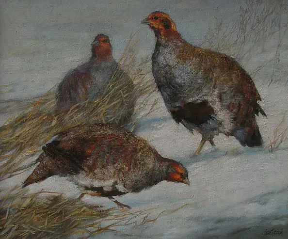 Ewa Lasek - In the snow