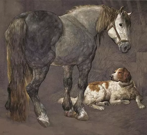 Ewa Lasek - In stable