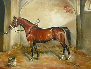 Małgorzata Wójtowicz Cichoń - In stable