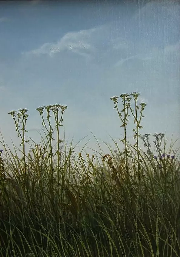 Dariusz Król - In grass