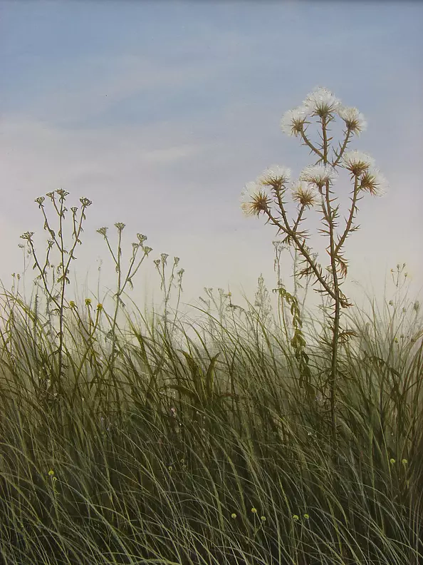 Dariusz Król - W trawie