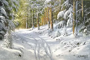 Marek Szczepaniak - W zimowej szacie