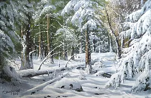 Marek Szczepaniak - In a winter robe