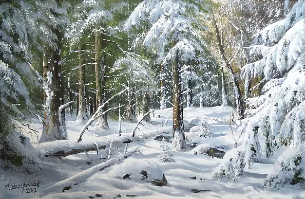 Marek Szczepaniak - In a winter robe