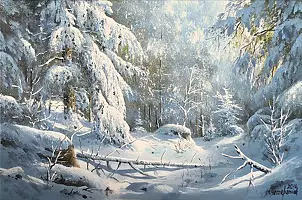 Marek Szczepaniak - W zimowej szacie