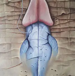 Jarosław Lubecki - Waleń