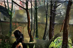 Mia Nelle Droschler - Walking In The Woods