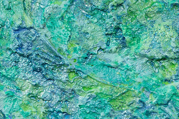 Pamela Rys - Walking on a Dream