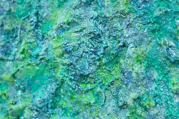 Pamela Rys - Walking on a Dream