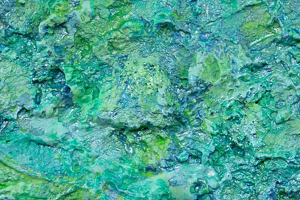 Pamela Rys - Walking on a Dream