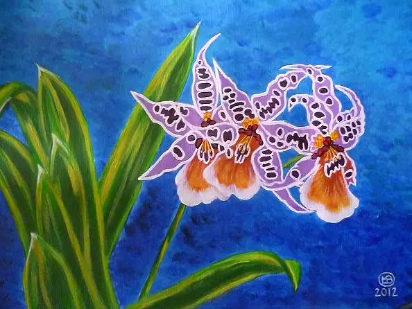 Marianna Małgorzata Bakanowicz - Wanda in aquarium-2012