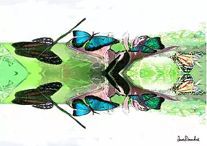 Anna Dmowska - "Variation"