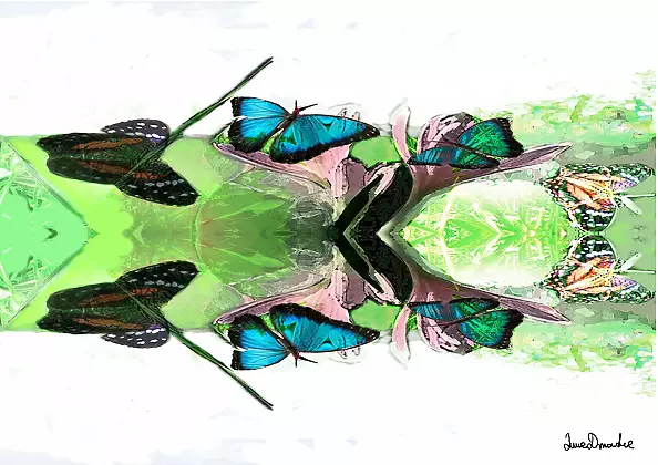 Anna Dmowska - "Variation"