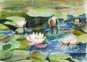 Zdzisław Rutkowski - Lilie wodne